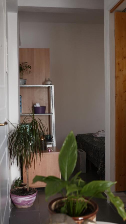 B2 - The Cozy One Lejlighed Aigio Eksteriør billede